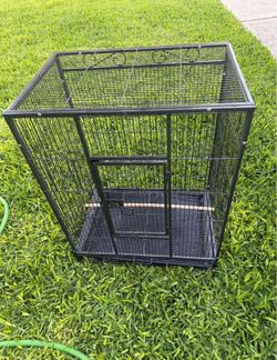 bird cage