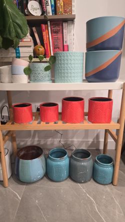Plants and Plant Pots for Sale