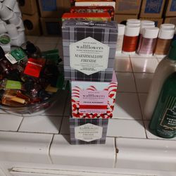 Bath And Body Works Double Packs Wallflower Refills New
