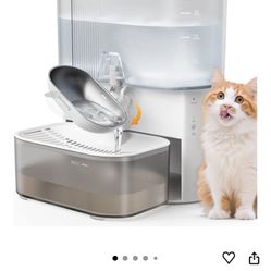 Cat Water Fountain