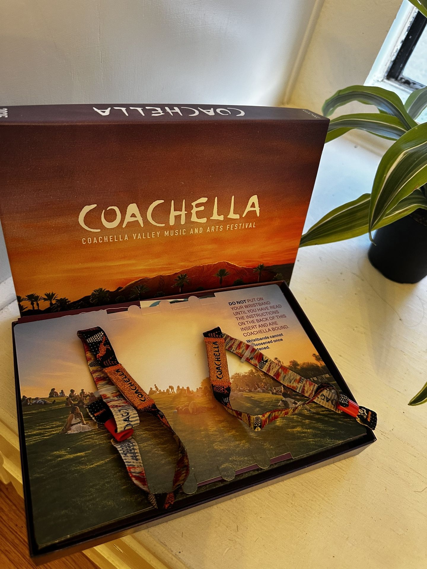 Reduce Price !!!!Coachella 2025 Two Tickets Week Two /3 Day Passes