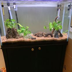 50 Gallon Aquarium Set