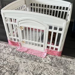 Dog House 