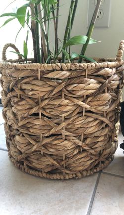 Basket 🧺