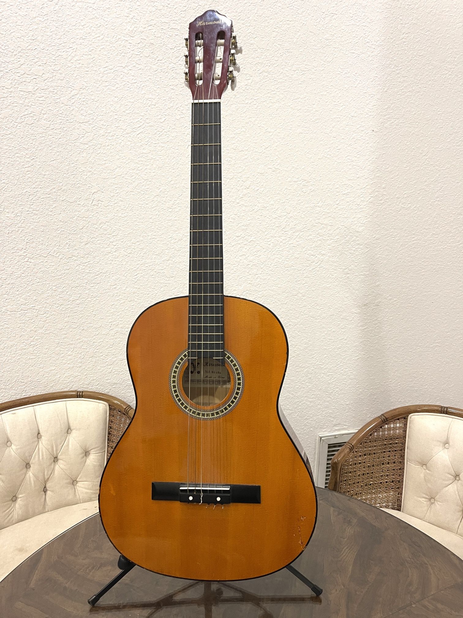 Acoustic Guitar 