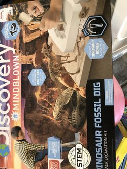 Discovery toy