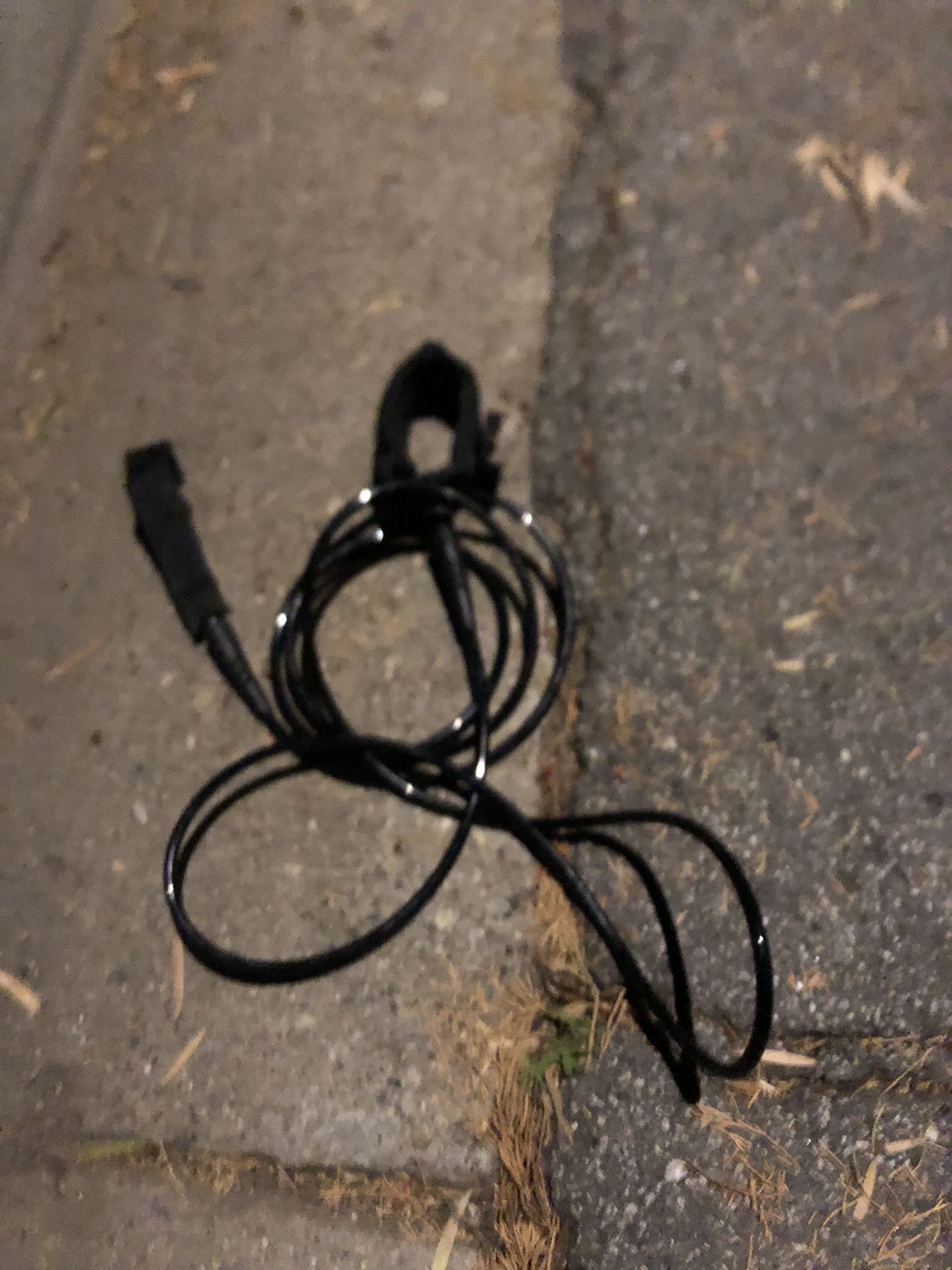 Brand New Leash, 9 Foot