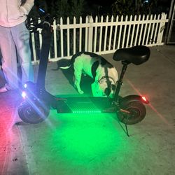 Freeboy Electric Scooter