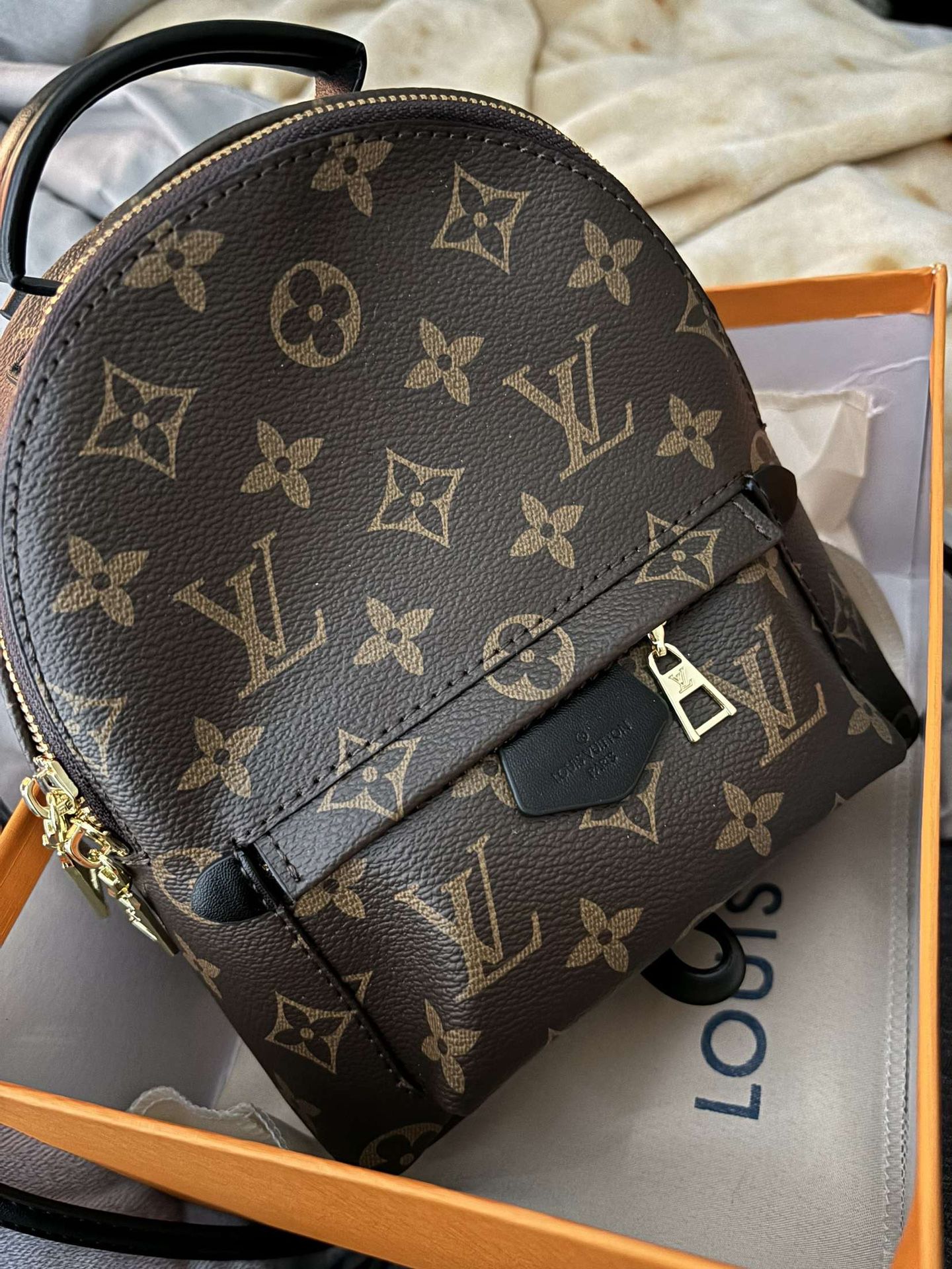 Mini Palm Springs Louis Vuitton Bag