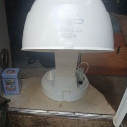 Red Lady's Hair Dryer