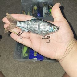 Fishing Lure And Spinning Reel