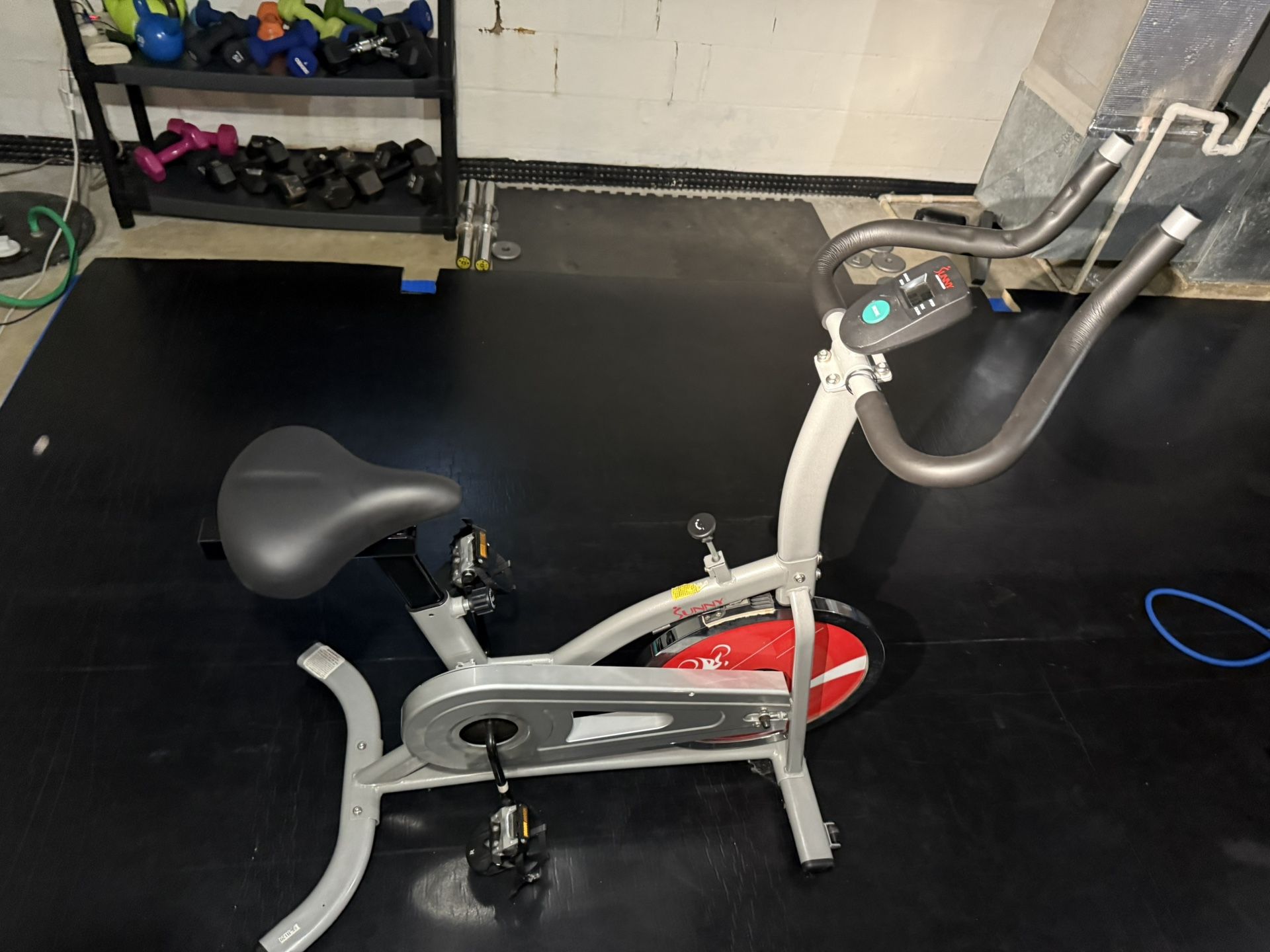 Sunny Exercise Bike