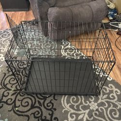 Kennel 