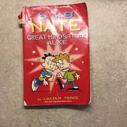 Big Nate Great Minds Think Alike