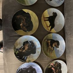 Danbury Mint Rottweiler Collection 