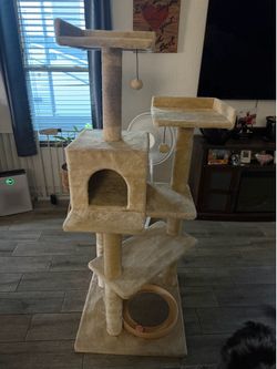 Adult cat scratching post