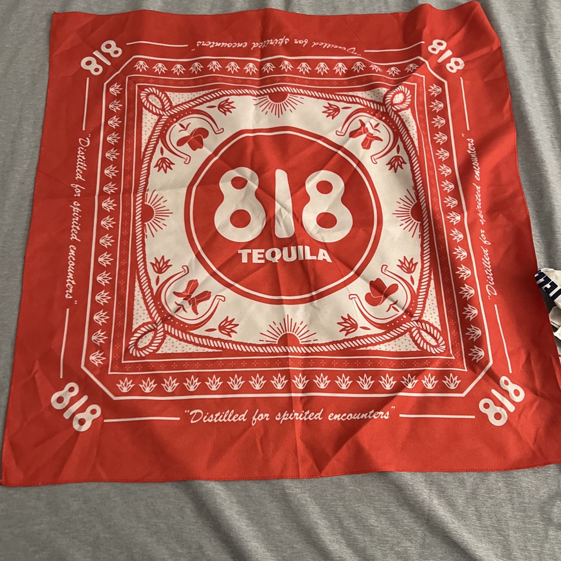 UNUSED 818 Bandana Merch
