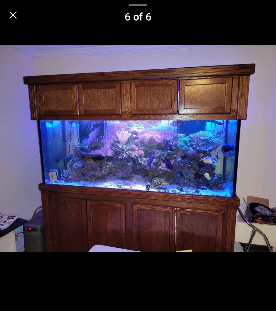 210 Gallon Salt Water Aquarium Complete Setup