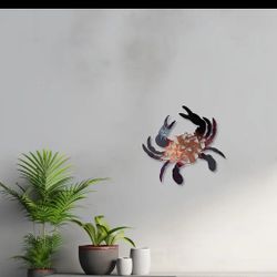 Maryland Flag Crab
