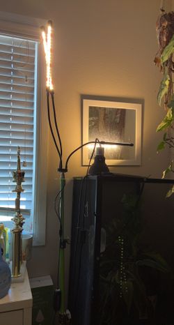 Standing Grow Lights