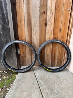 Maxxis Mountain Bike Tires