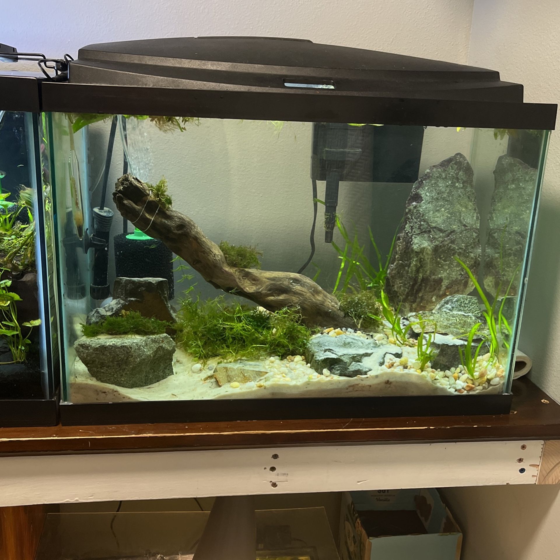 20 Gallons Aquarium 