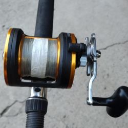 Saltwater Fishing Conventional Setup 