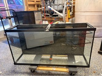 55 gallon aquarium