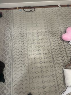 Free 8x10 rug