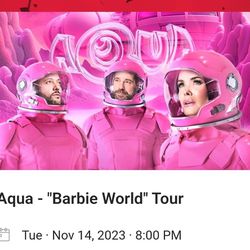 Two concert tickets to Aqua!