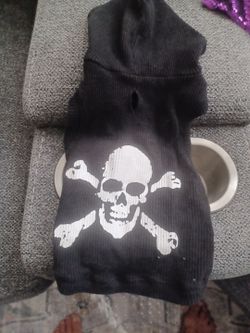 Costume for a dog 🐕