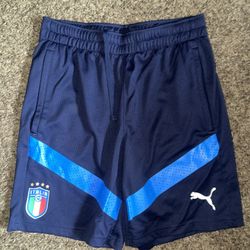 Italy Puma Shorts 