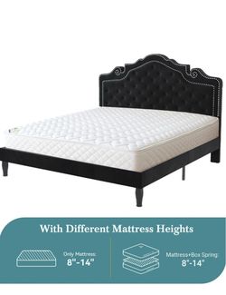 Platform bed