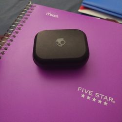 SkullCandy Charging Case. 