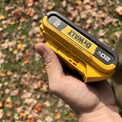 Dewalt Batteries 