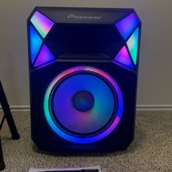 Pioneer party speaker