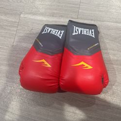 Everlast boxing gloves