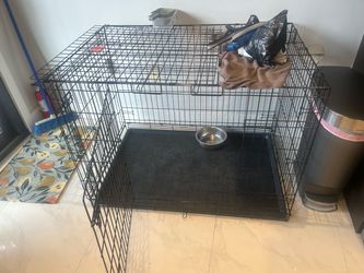 XL Dog cage