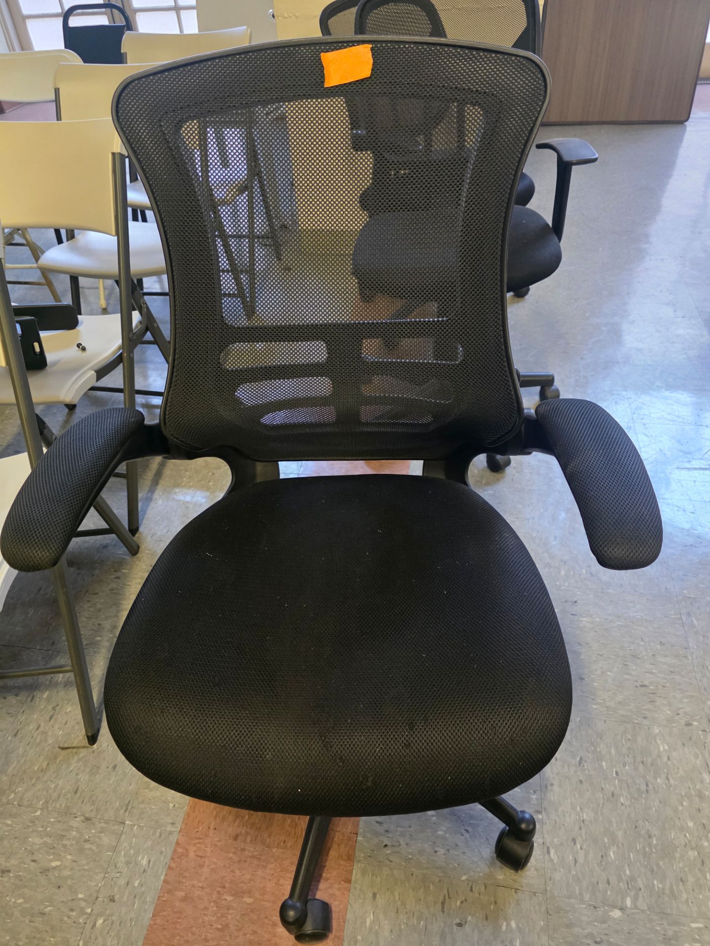 Image #1