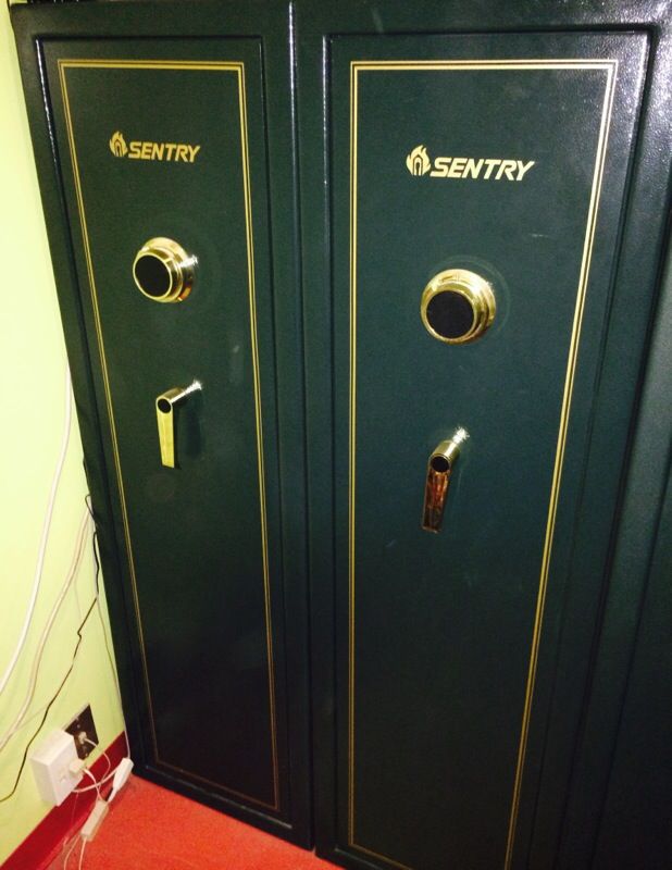 (2) R2920 Sentry Gun Safe in forest green