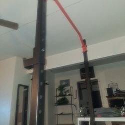 Sunny Squat Rack Setup, $300, OBO