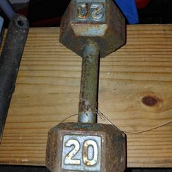 1 Dumbell 20 Pound 