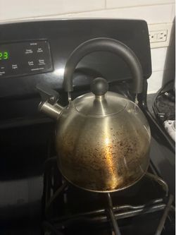 Stainless steel stovetop kettle