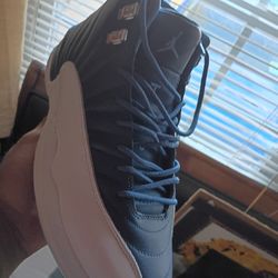 Jordan 12 Size 11 (No Box )
