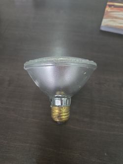 Light Bulbs