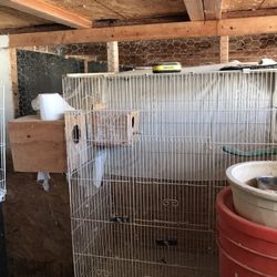  Bird Cage Large