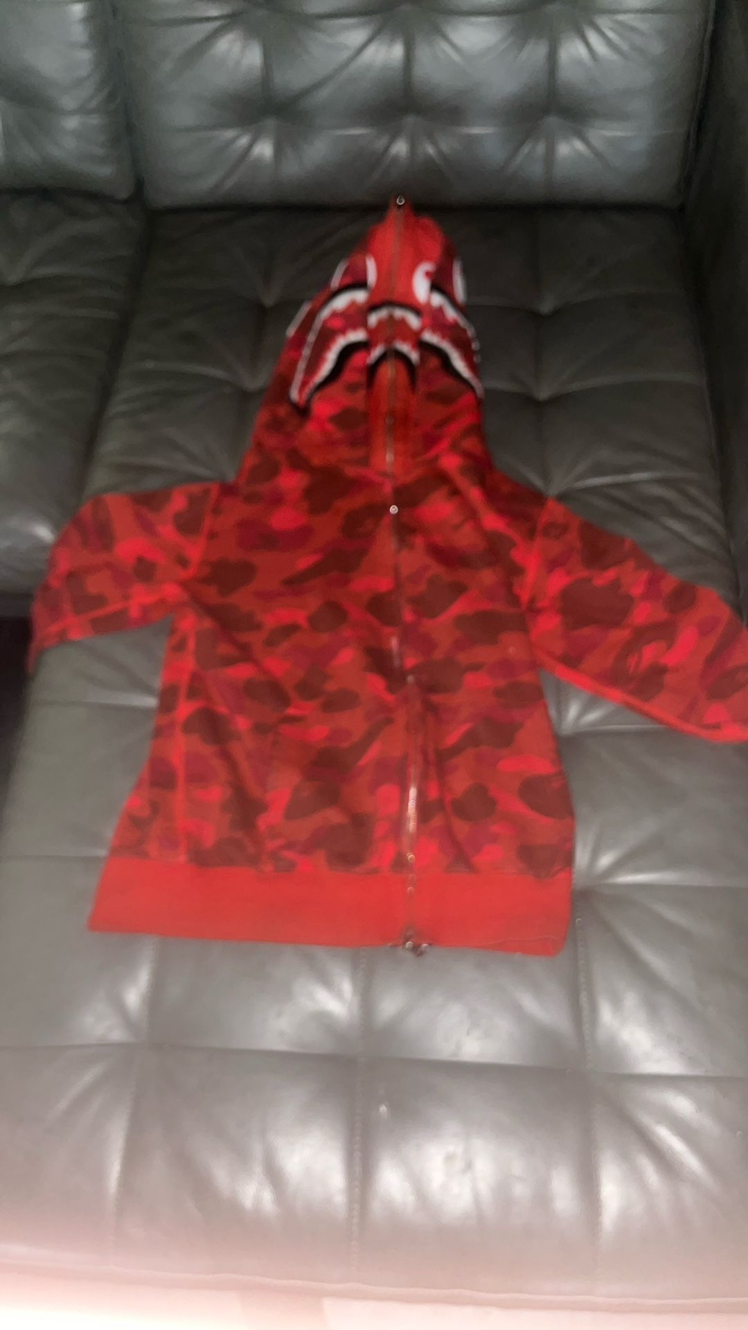double hooded bape hoode