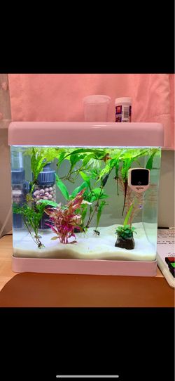White 5 gallon desktop tank