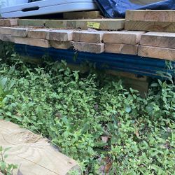 Green And White Wood 