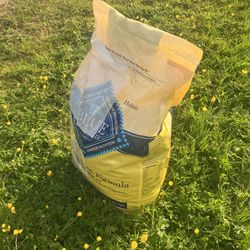 Blue Buffalo Adult Dog Food 